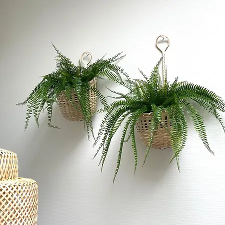 Apartment De Deining *